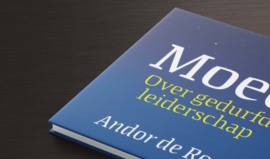 Moed: over gedurfd leiderschap&nbsp;